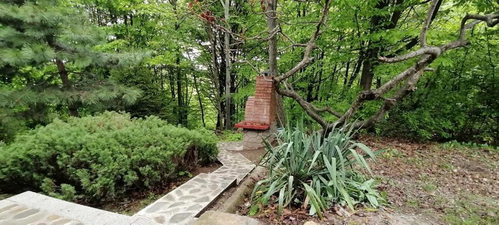 Cabana Din Padurea Valeni Vălenii de Munte Exteriér fotografie