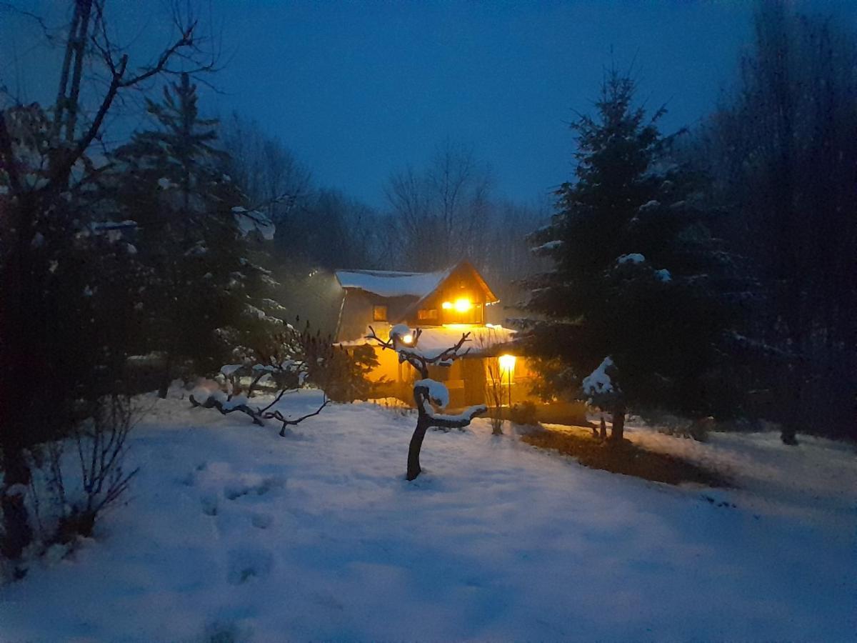 Cabana Din Padurea Valeni Vălenii de Munte Exteriér fotografie