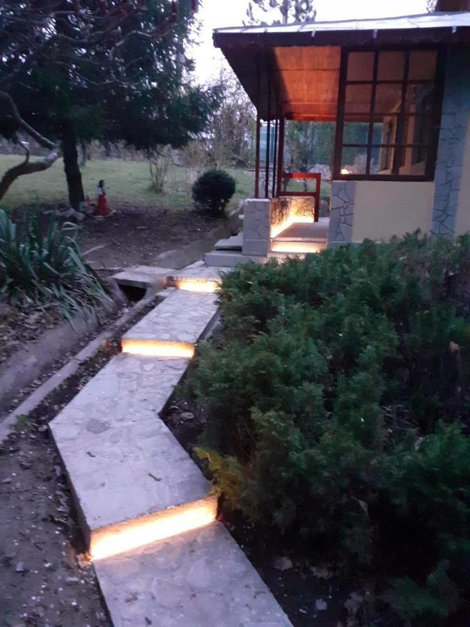 Cabana Din Padurea Valeni Vălenii de Munte Exteriér fotografie