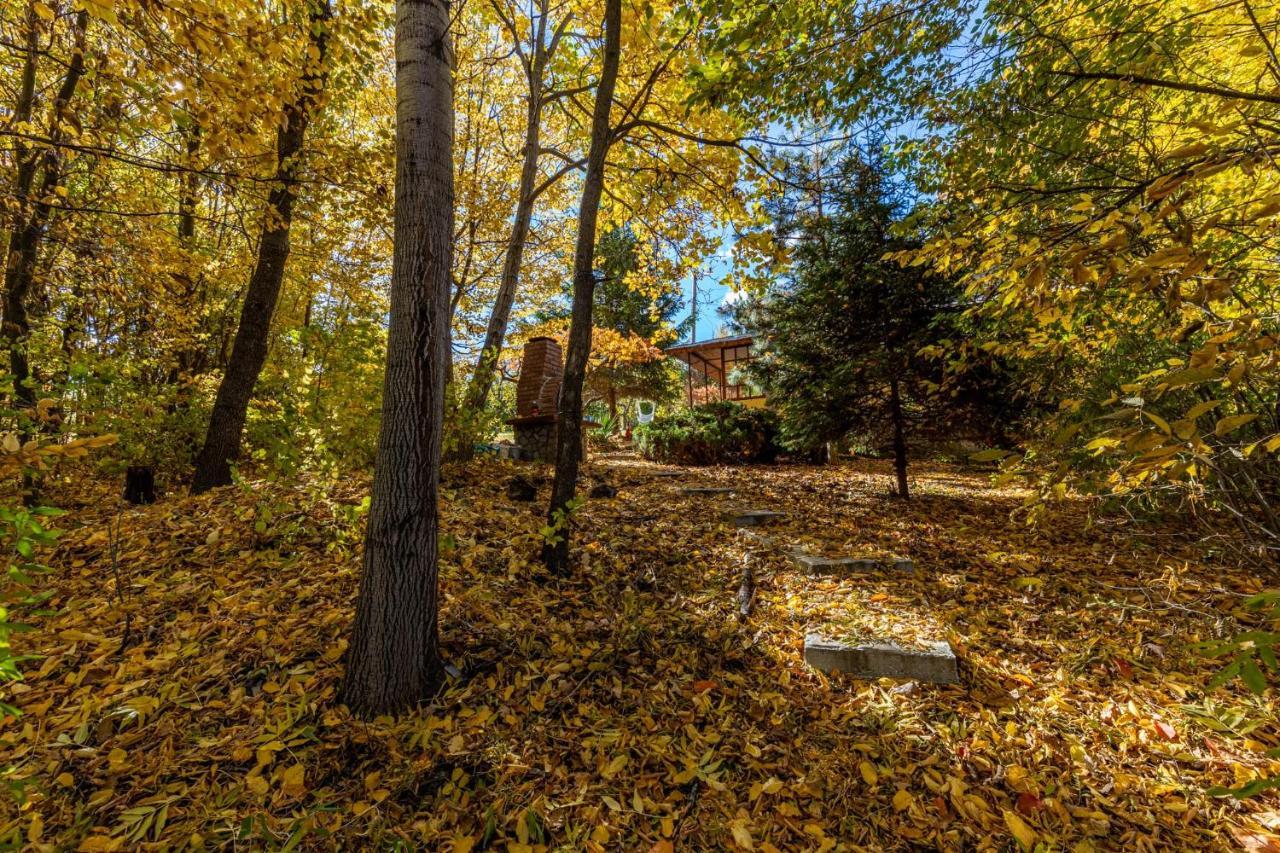 Cabana Din Padurea Valeni Vălenii de Munte Exteriér fotografie