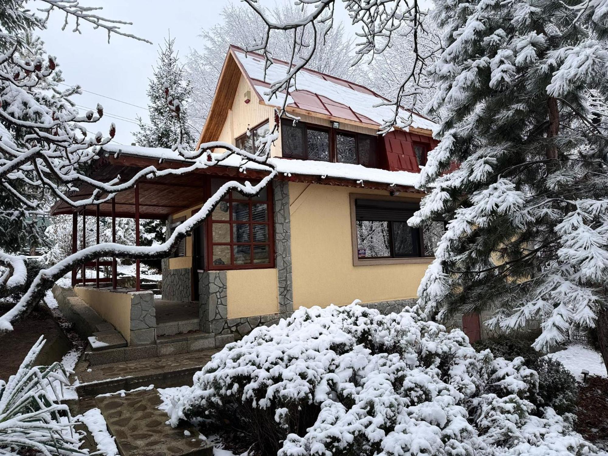 Cabana Din Padurea Valeni Vălenii de Munte Exteriér fotografie