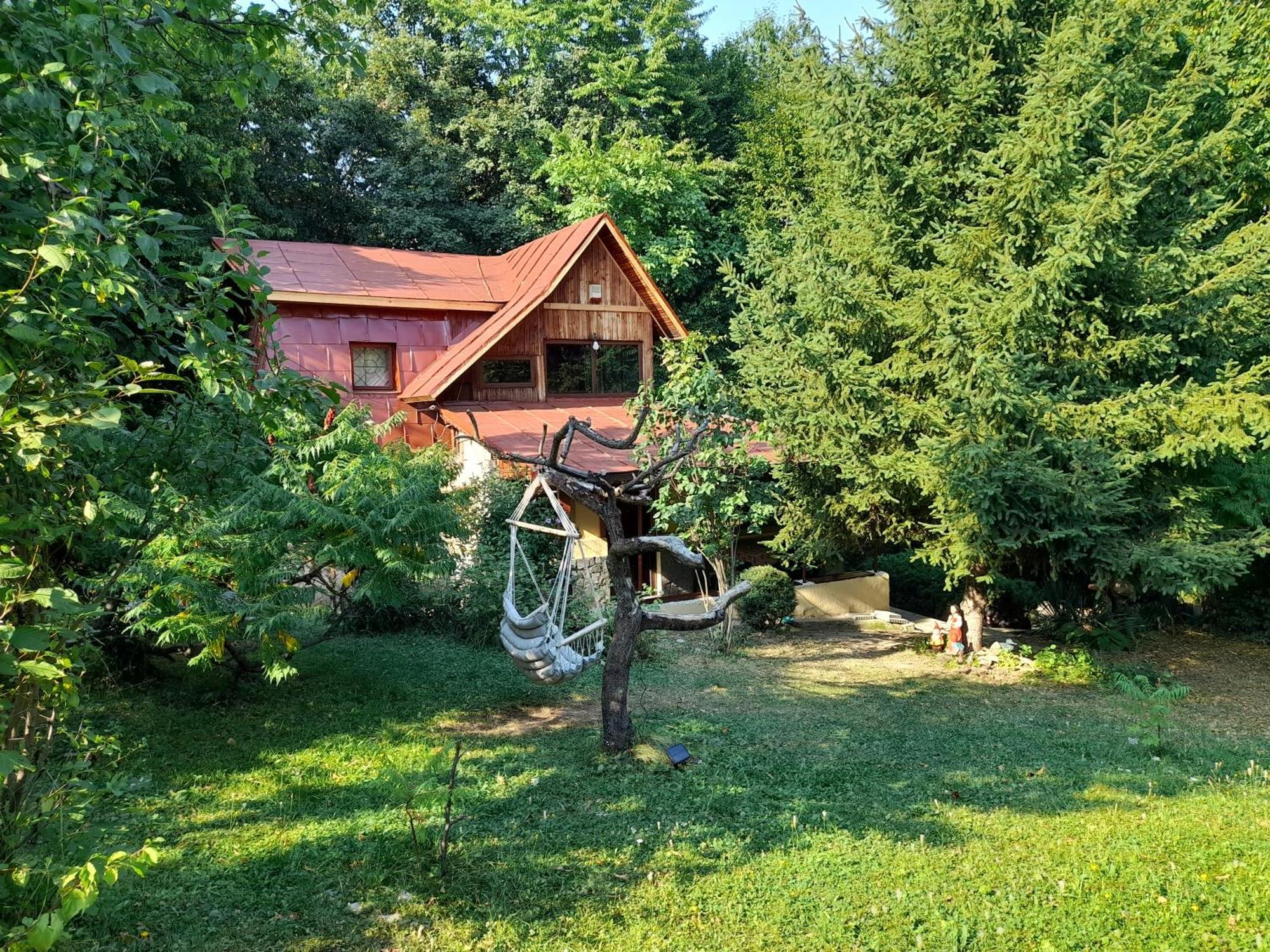 Cabana Din Padurea Valeni Vălenii de Munte Exteriér fotografie