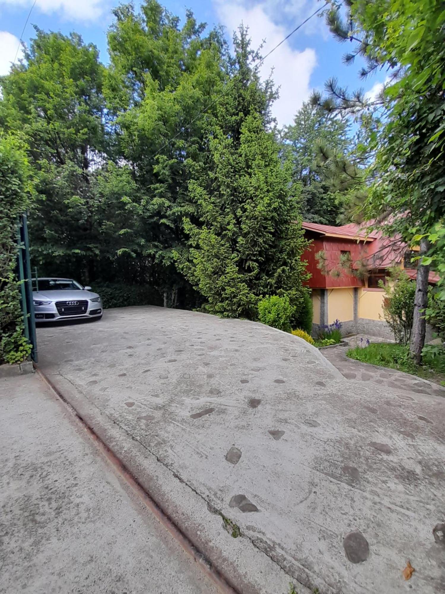 Cabana Din Padurea Valeni Vălenii de Munte Exteriér fotografie